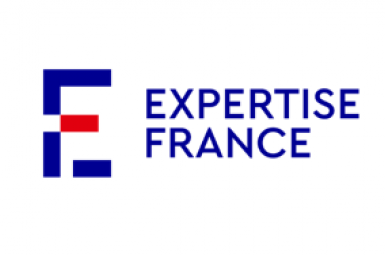 Expertise France